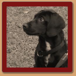 Oktober 2009
